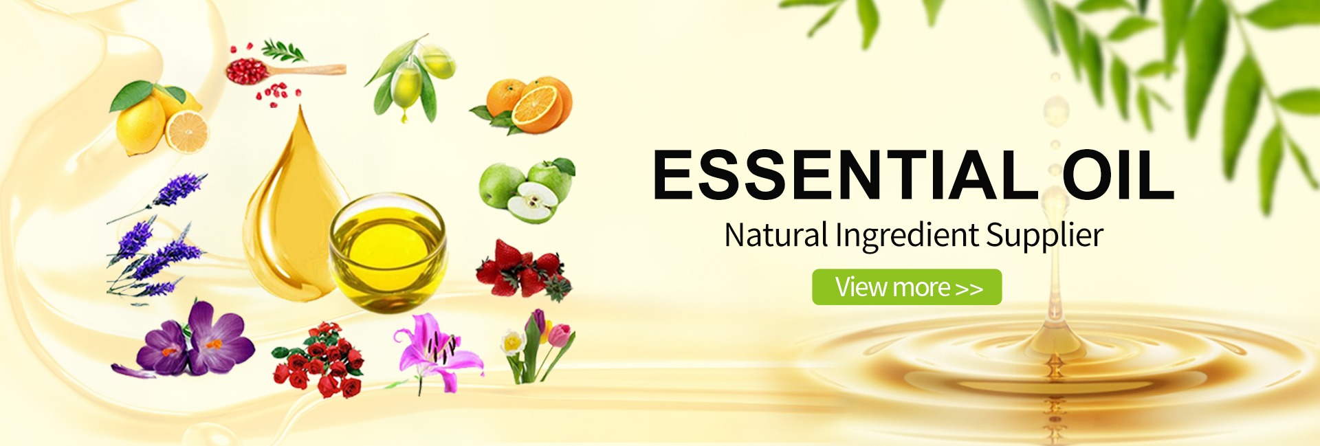 Ha72ee76c10394ea5b08fbdc1efac49deU(1)