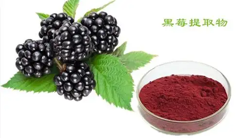 src=http___image.tech-food.com_images_product_bpic_201612_20161222100214_9943.png&refer=http___image.tech-food